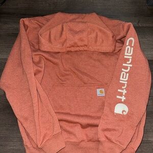 Carhartt Men's Rust Hoodie